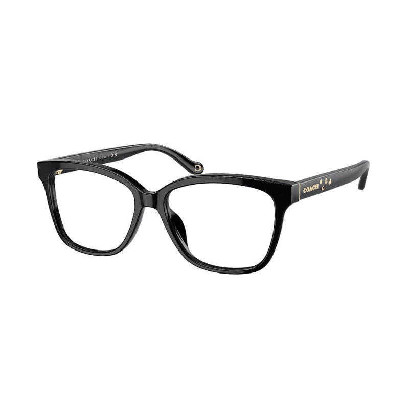 Gafas 53 mm color negro
