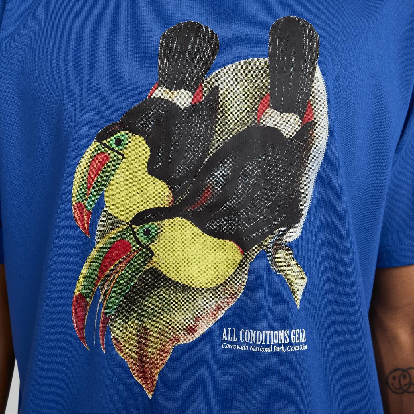 Top de hombre color azul
