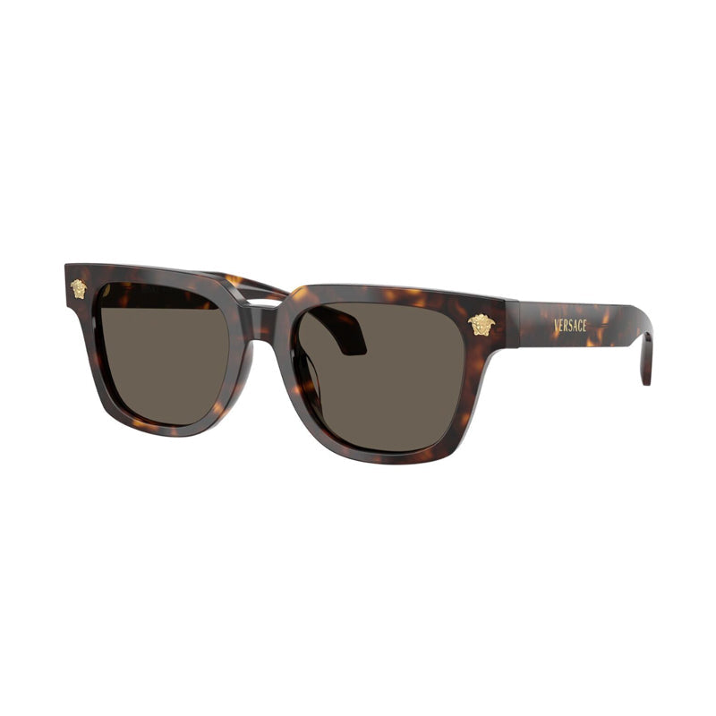 Gafas color café