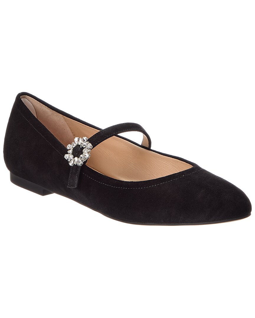 Zapatos de gamuza