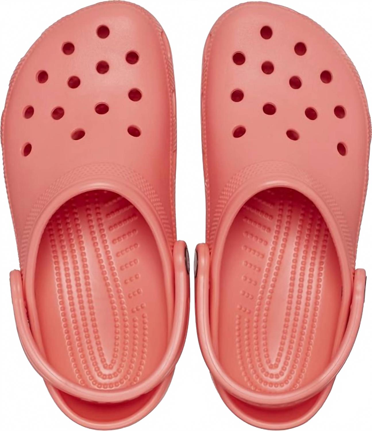 Zuecos unisex