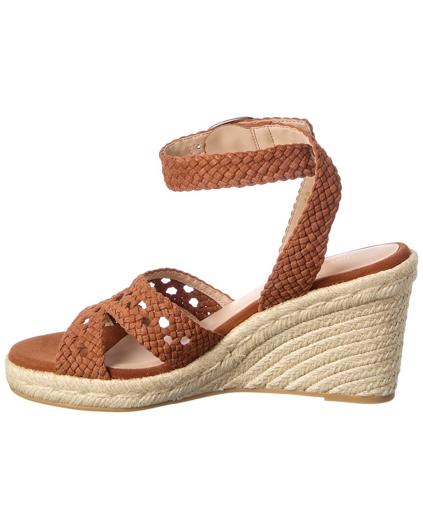 Zapatos de gamuza