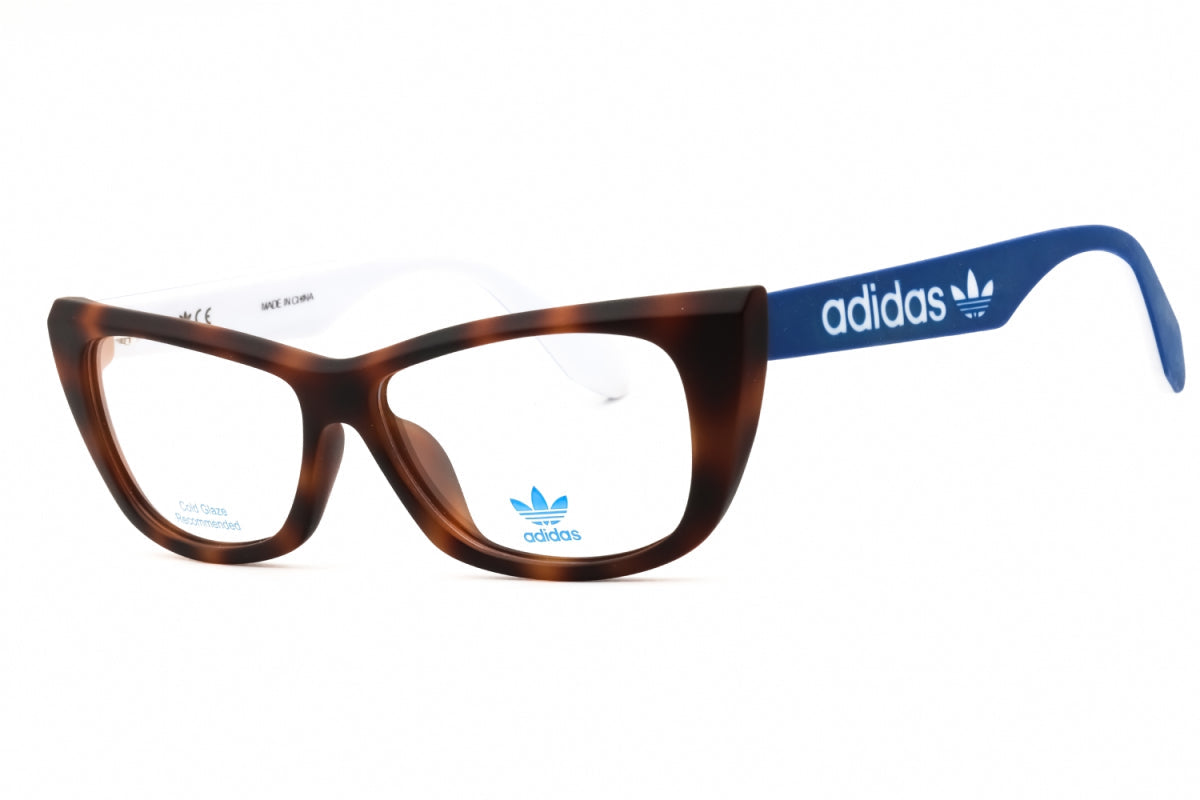Gafas 55 mm