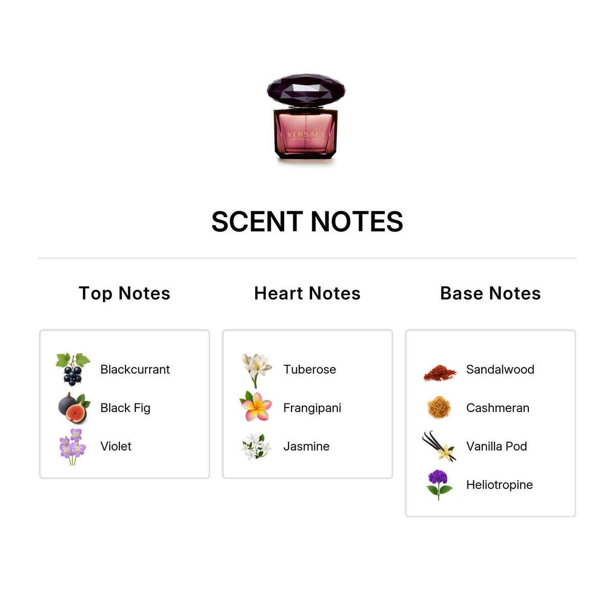 Perfume eau de parfum 3,0 oz