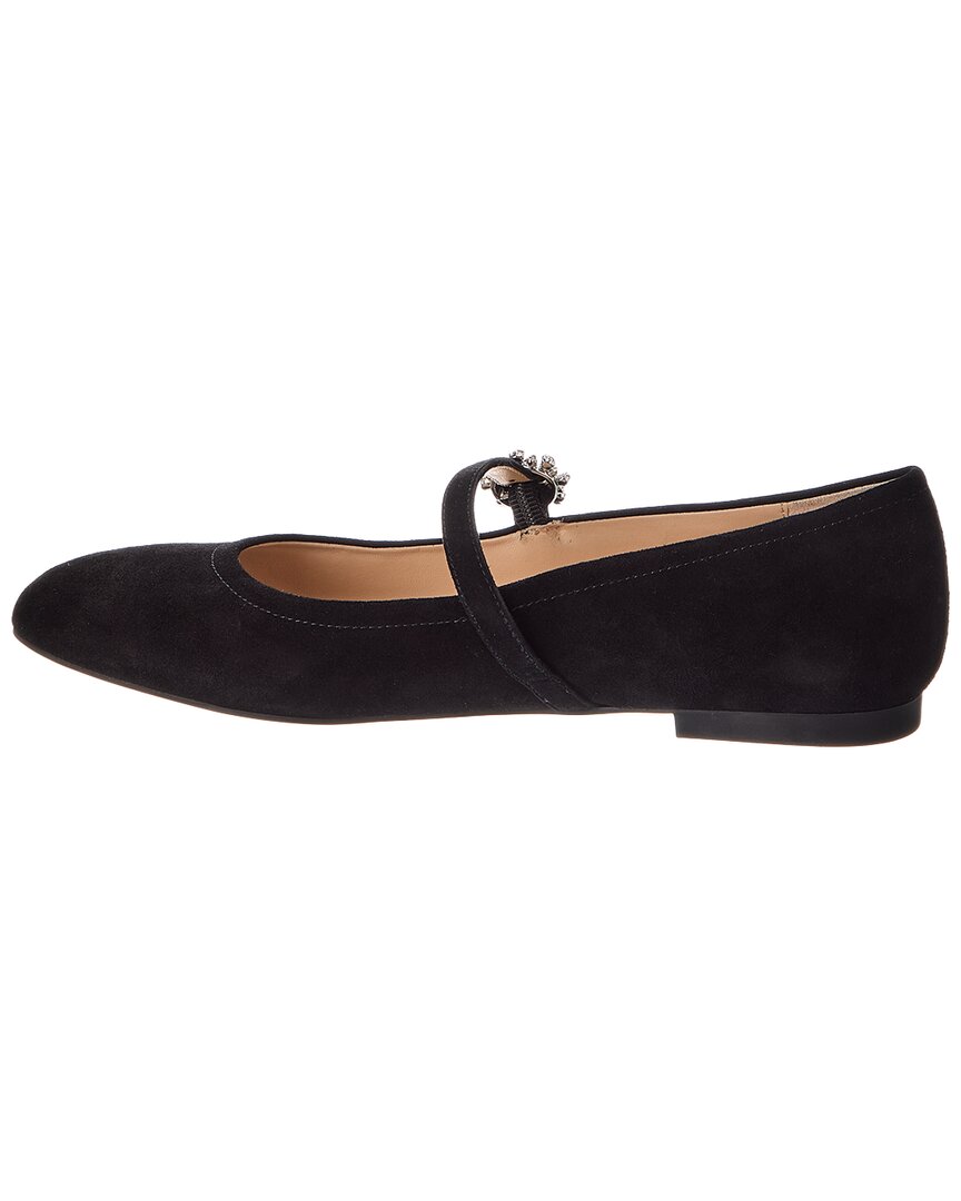 Zapatos de gamuza