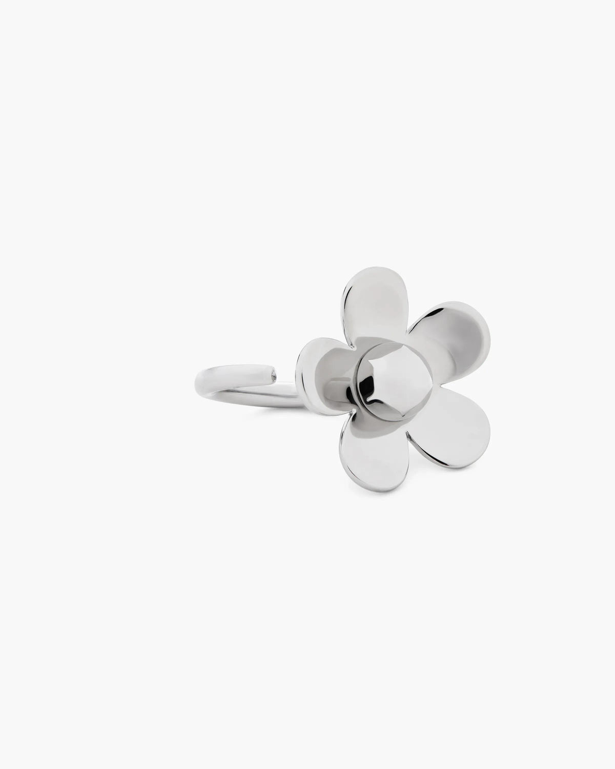 Anillo