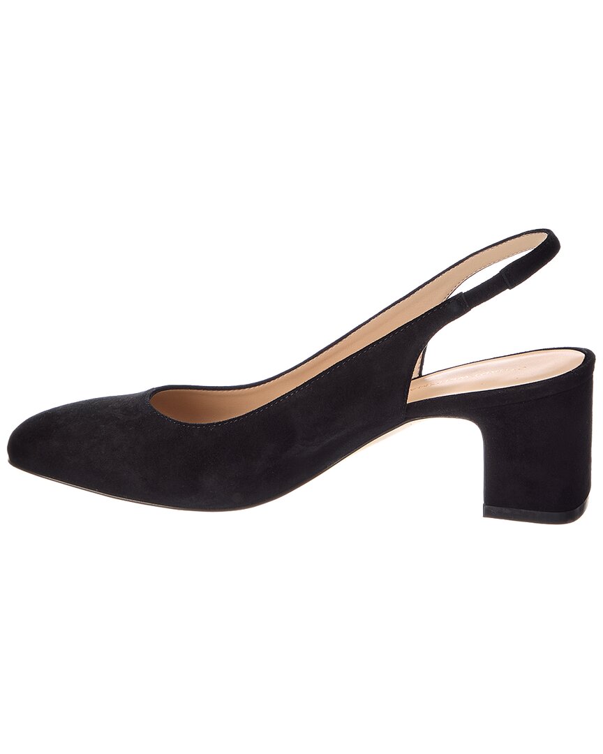 Zapatos de gamuza
