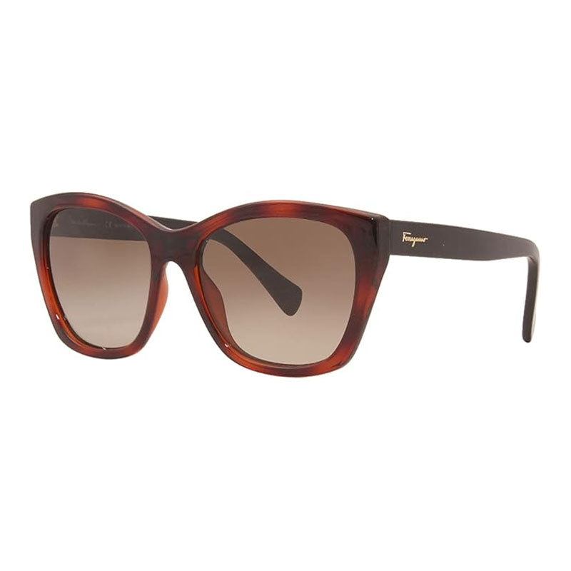 Gafas color café