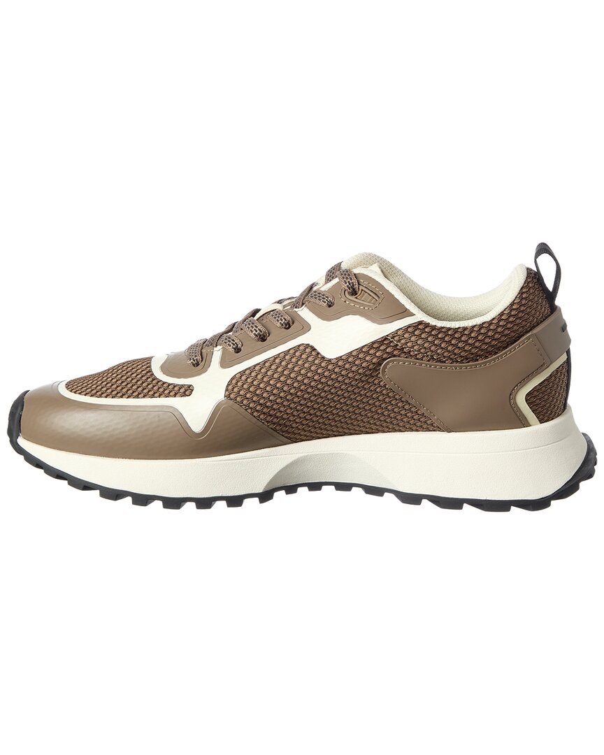 Tenis
