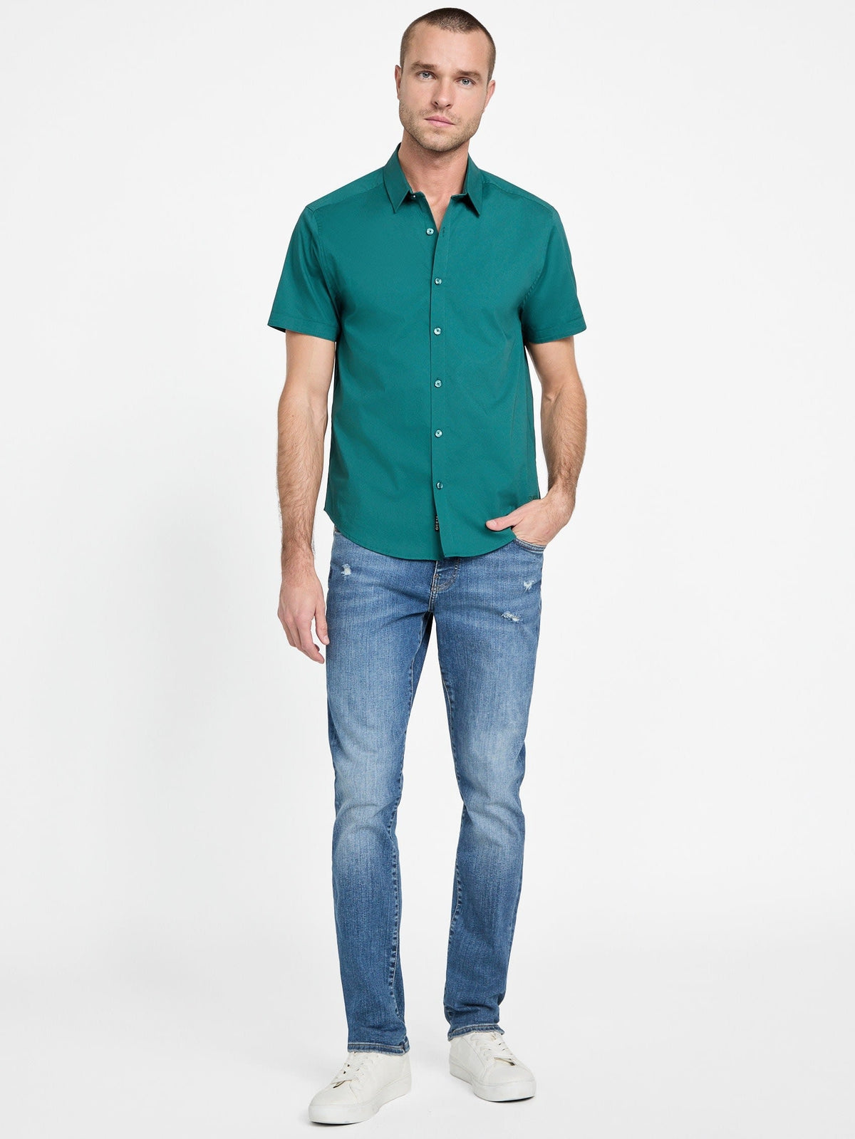 Camisa