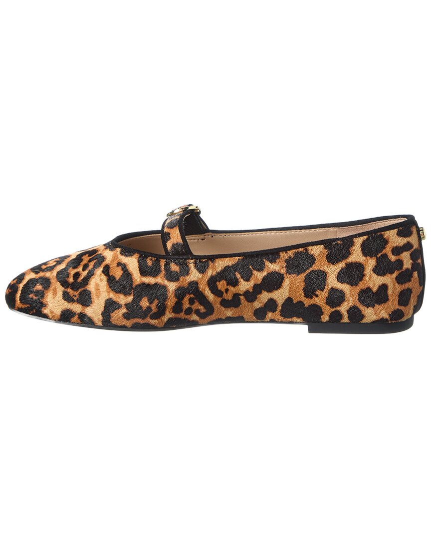 Zapatos