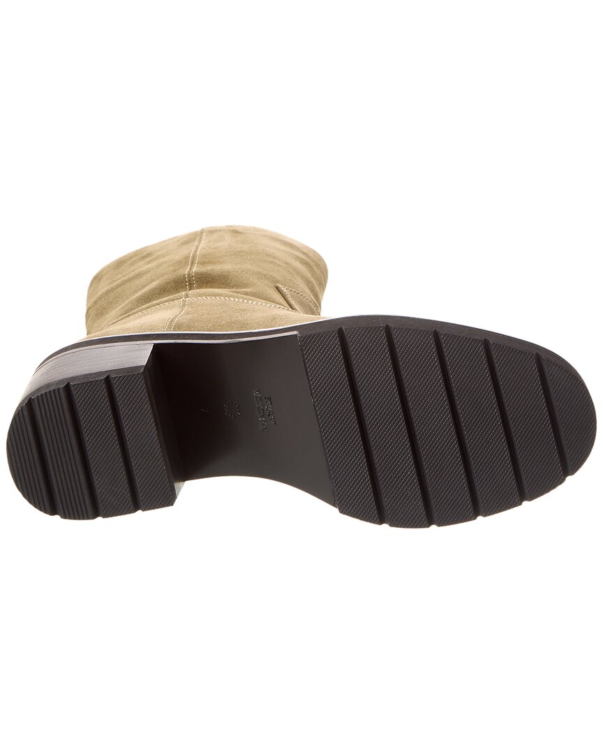 Botines de gamuza