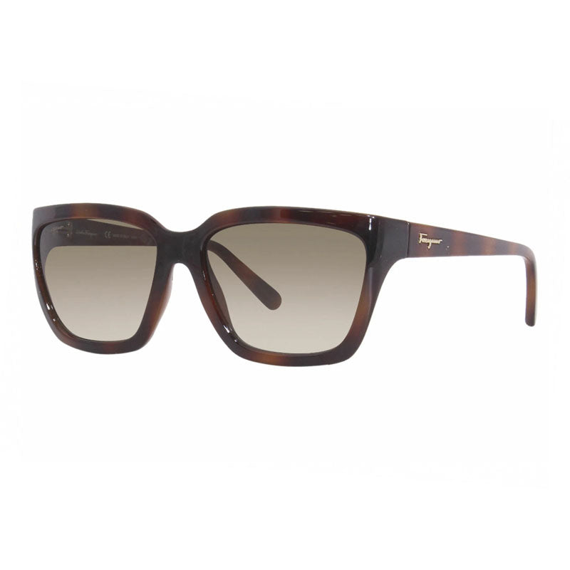 Gafas color café y verde