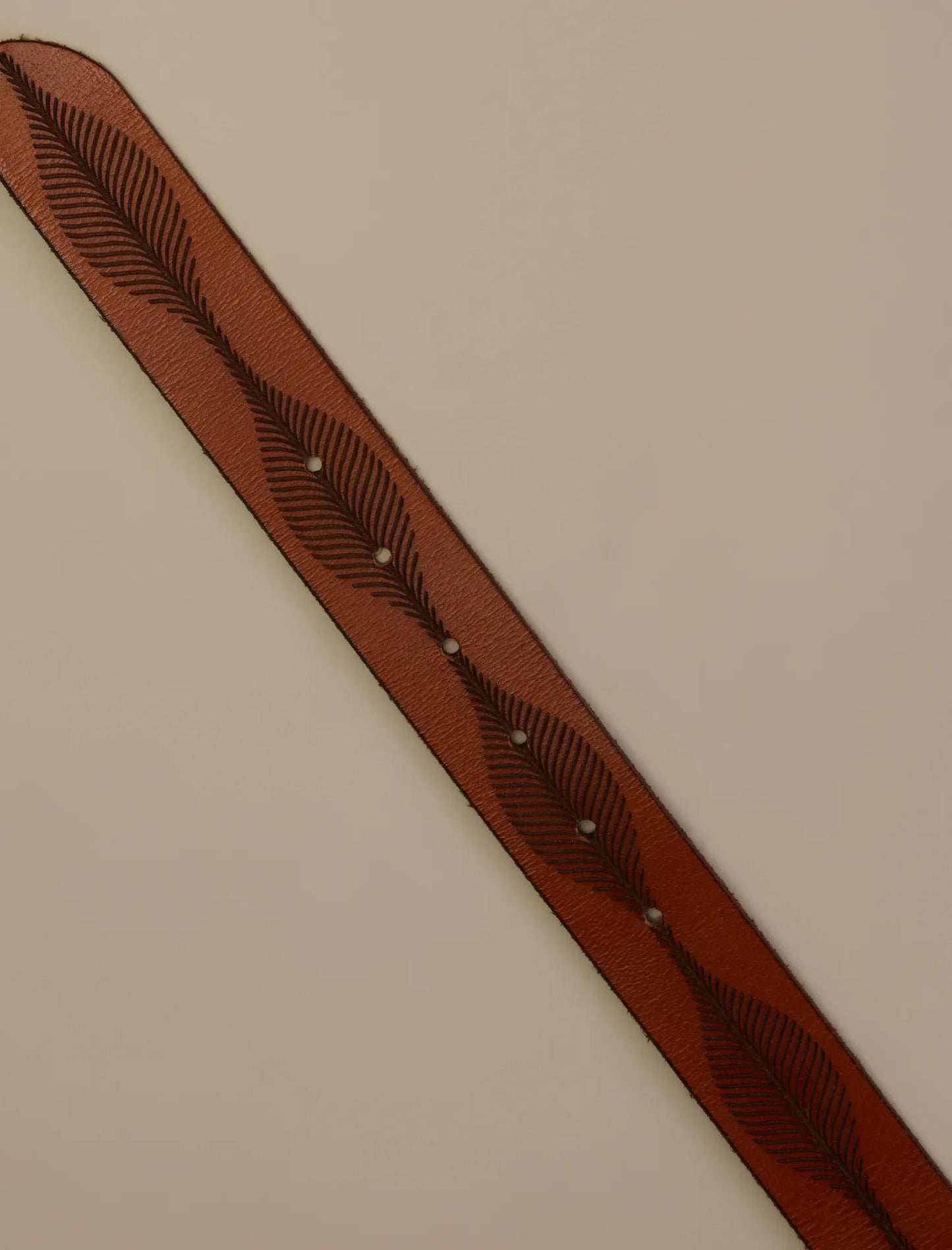 Cinturón