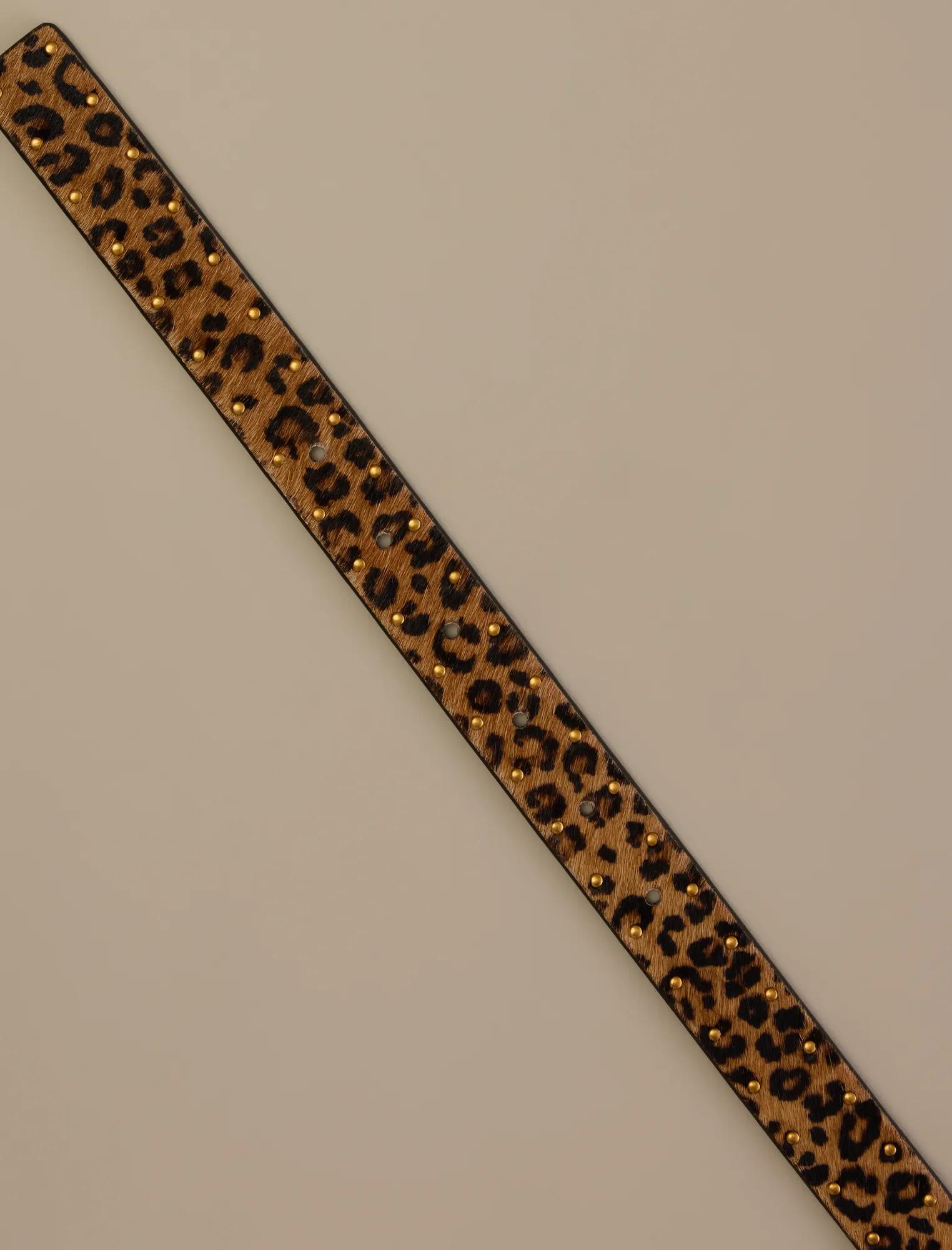 Cinturón