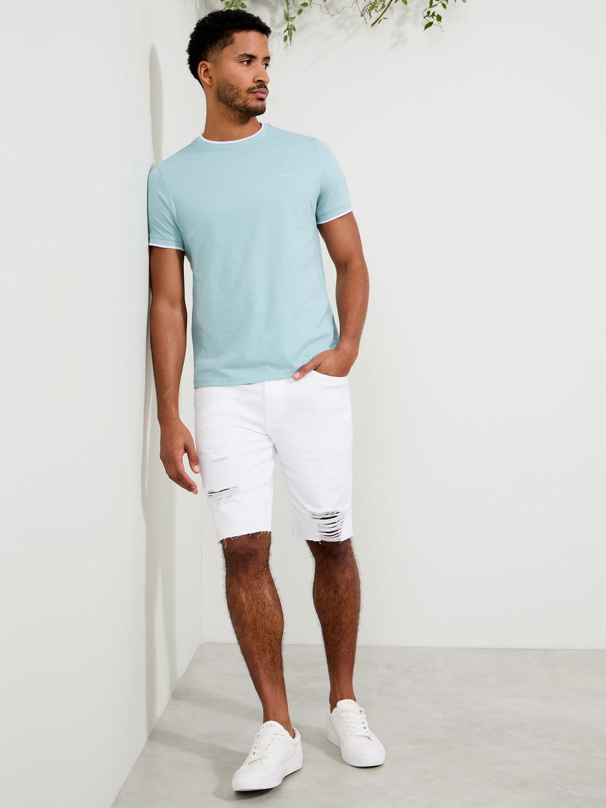 Camiseta