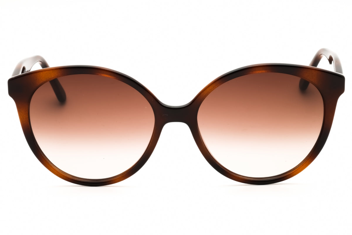 Gafas color café