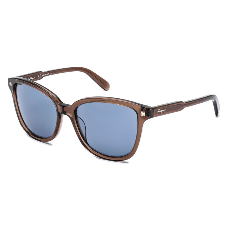Gafas color azul y café