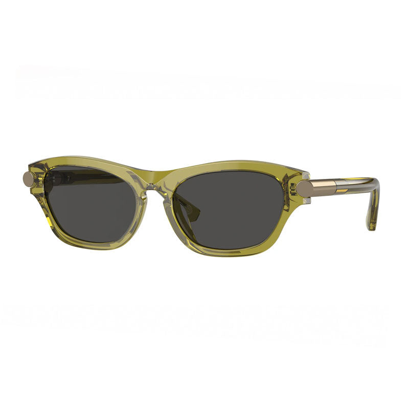 Gafas color gris oscuro y gris