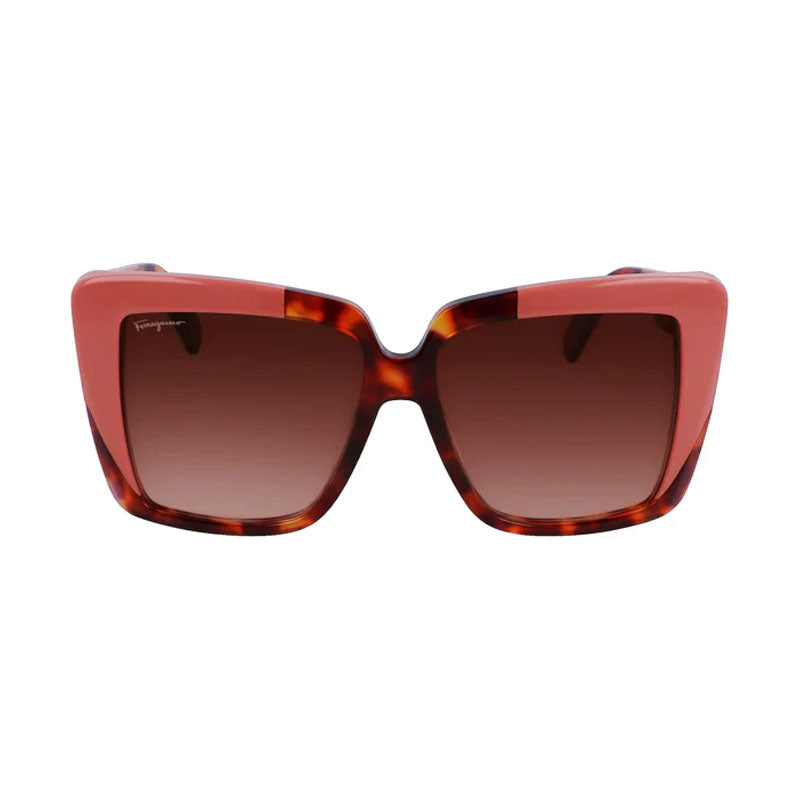 Gafas color café y rojo