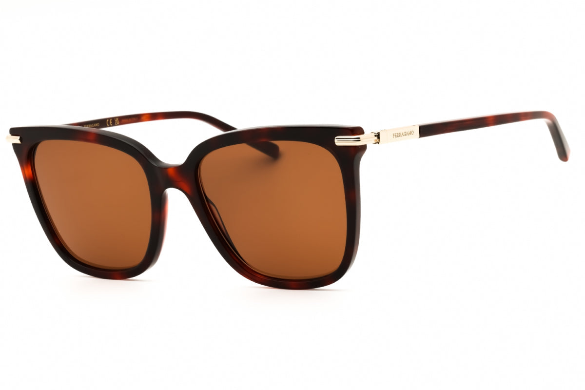 Gafas color café y rojo