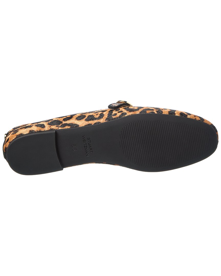 Zapatos
