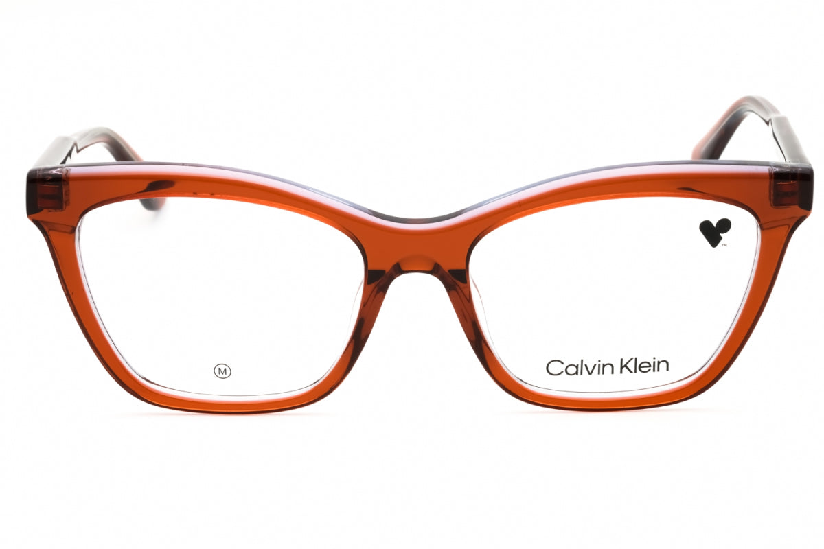 Gafas 52 mm color café