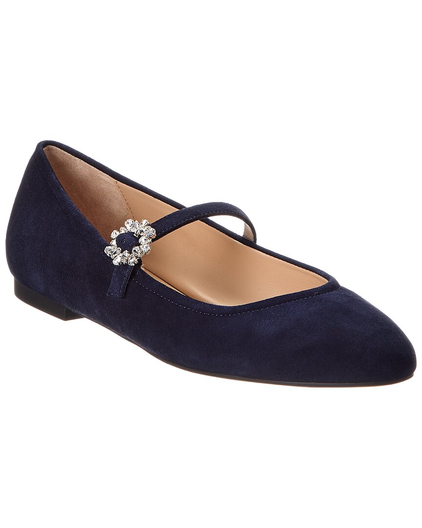 Zapatos de gamuza