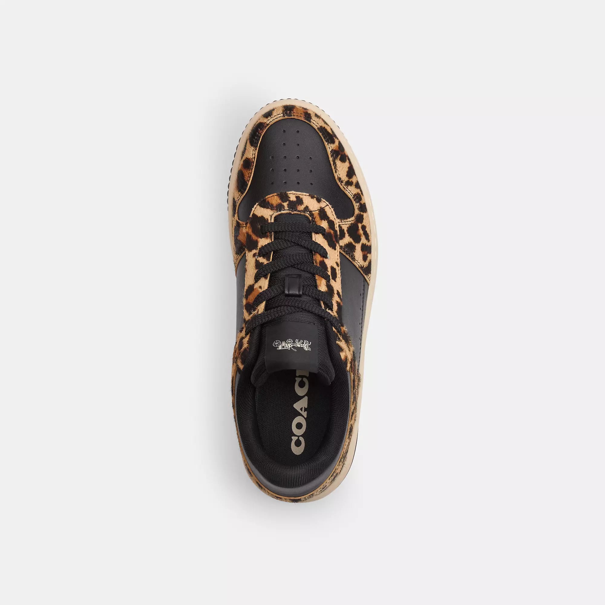 Coach Outlet Tenis Plataforma con Estampado de Leopardo