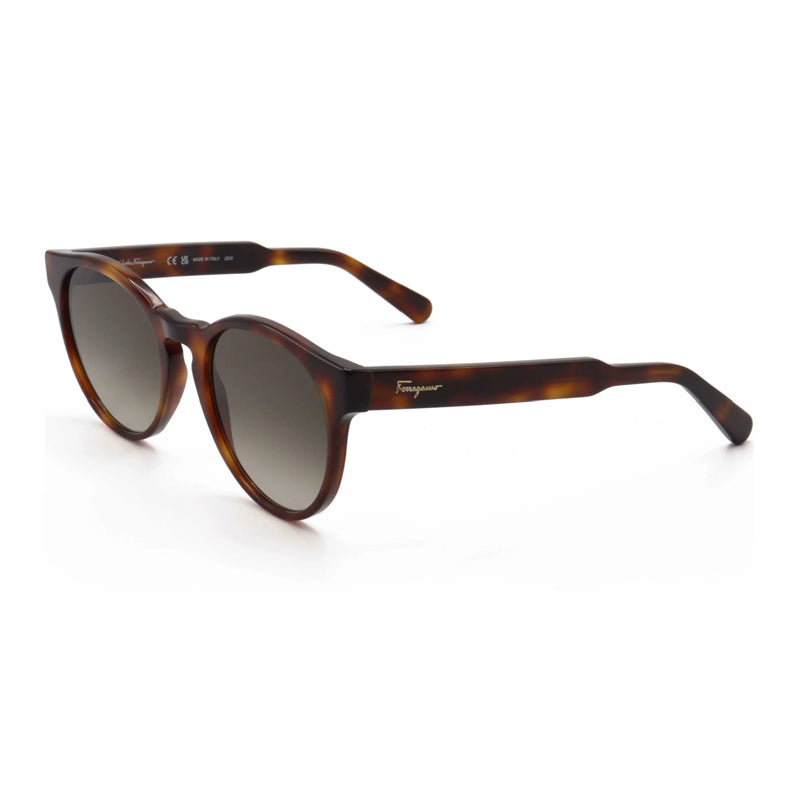 Gafas color café