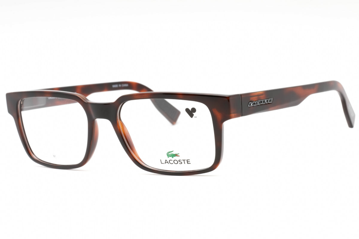 Gafas 53 mm