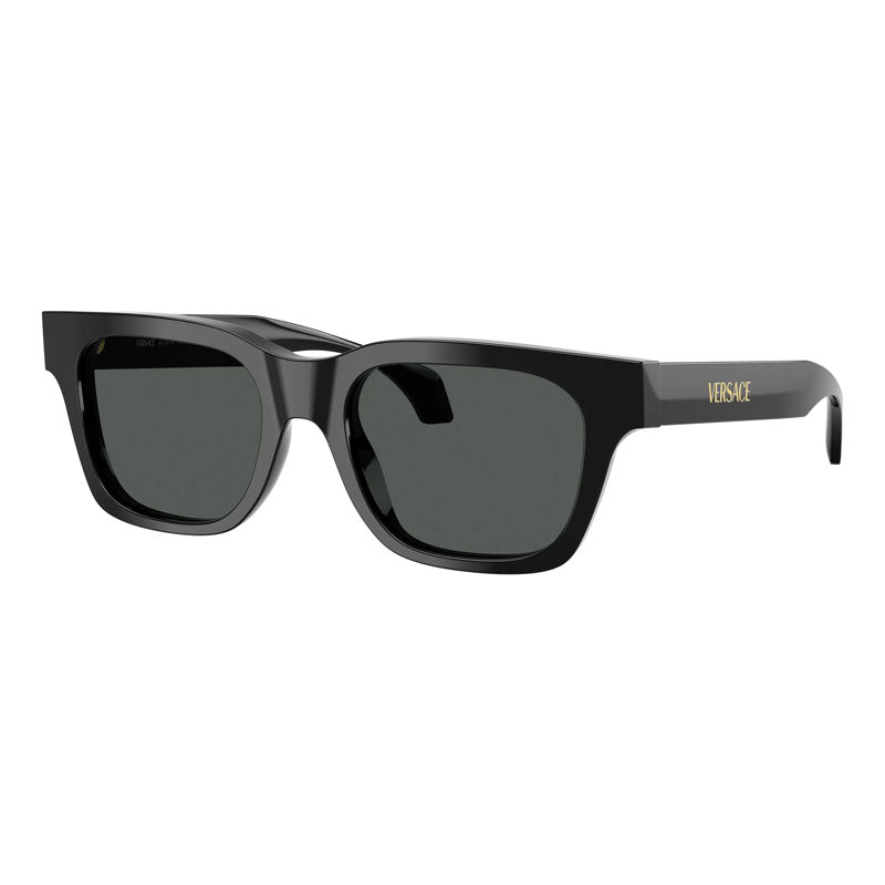 Gafas color negro y gris