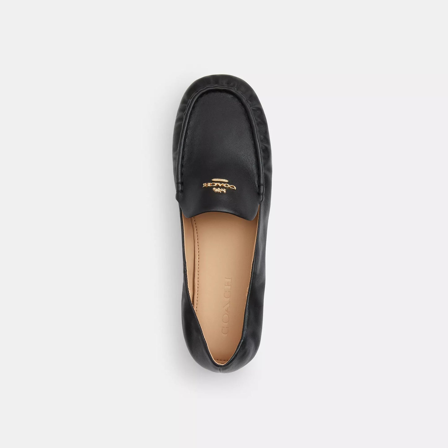 Mocasines