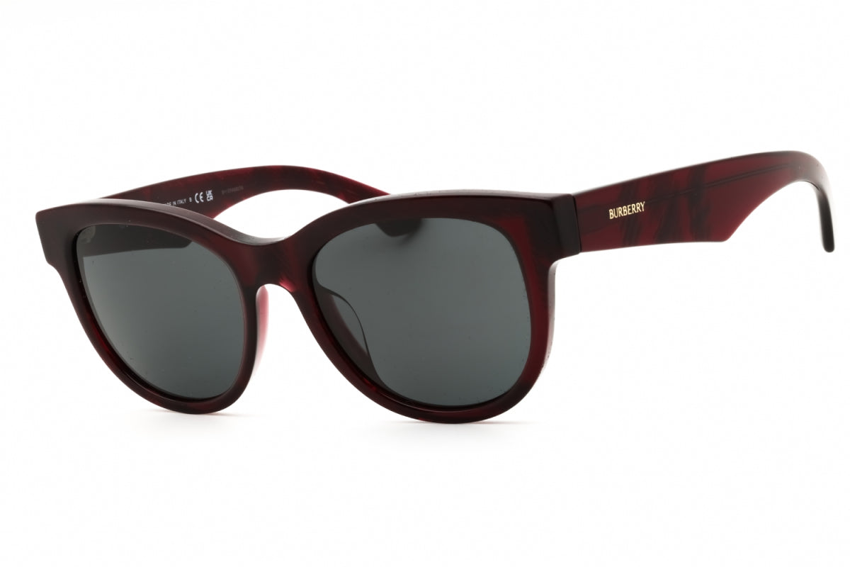 Gafas color gris oscuro y rojo