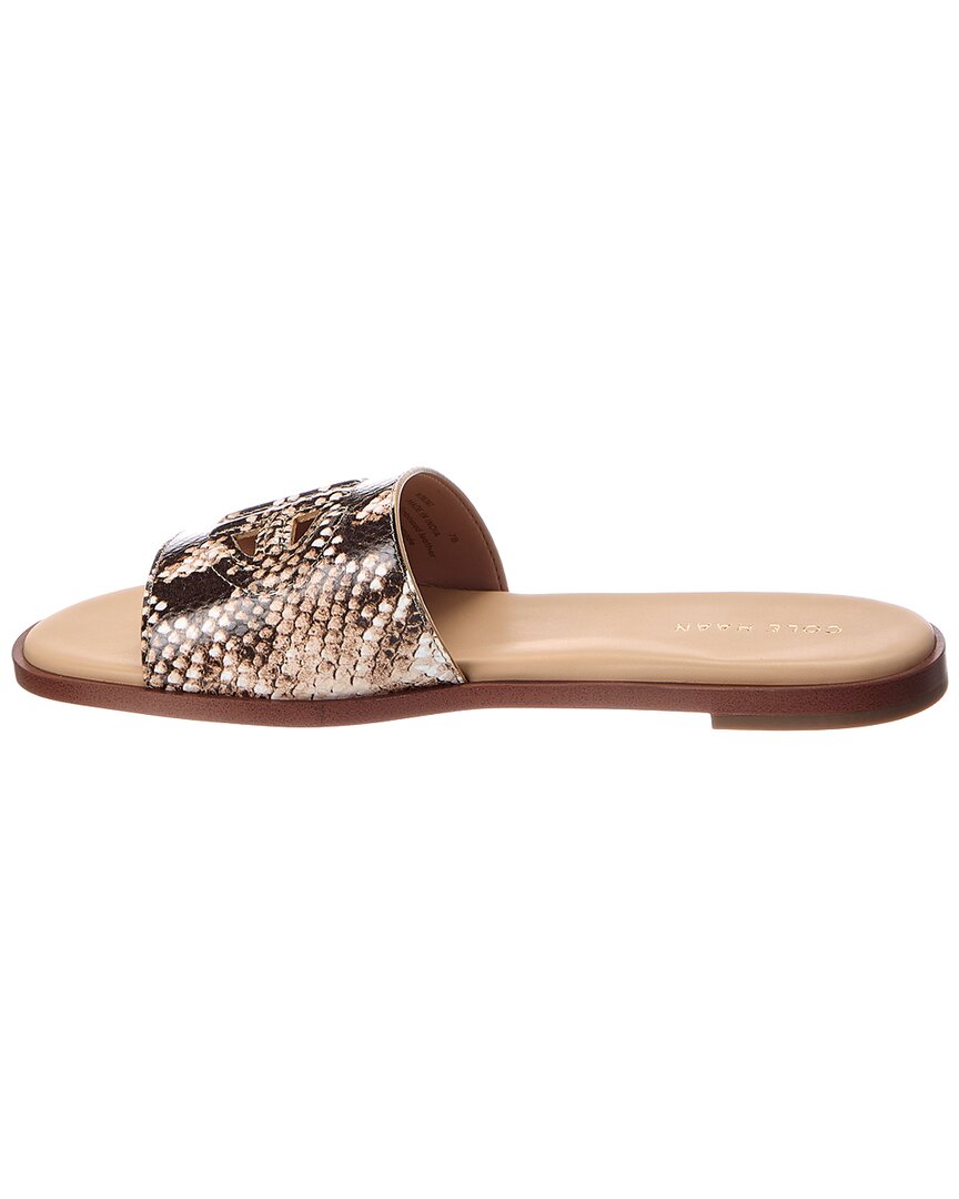 Sandalias de cuero