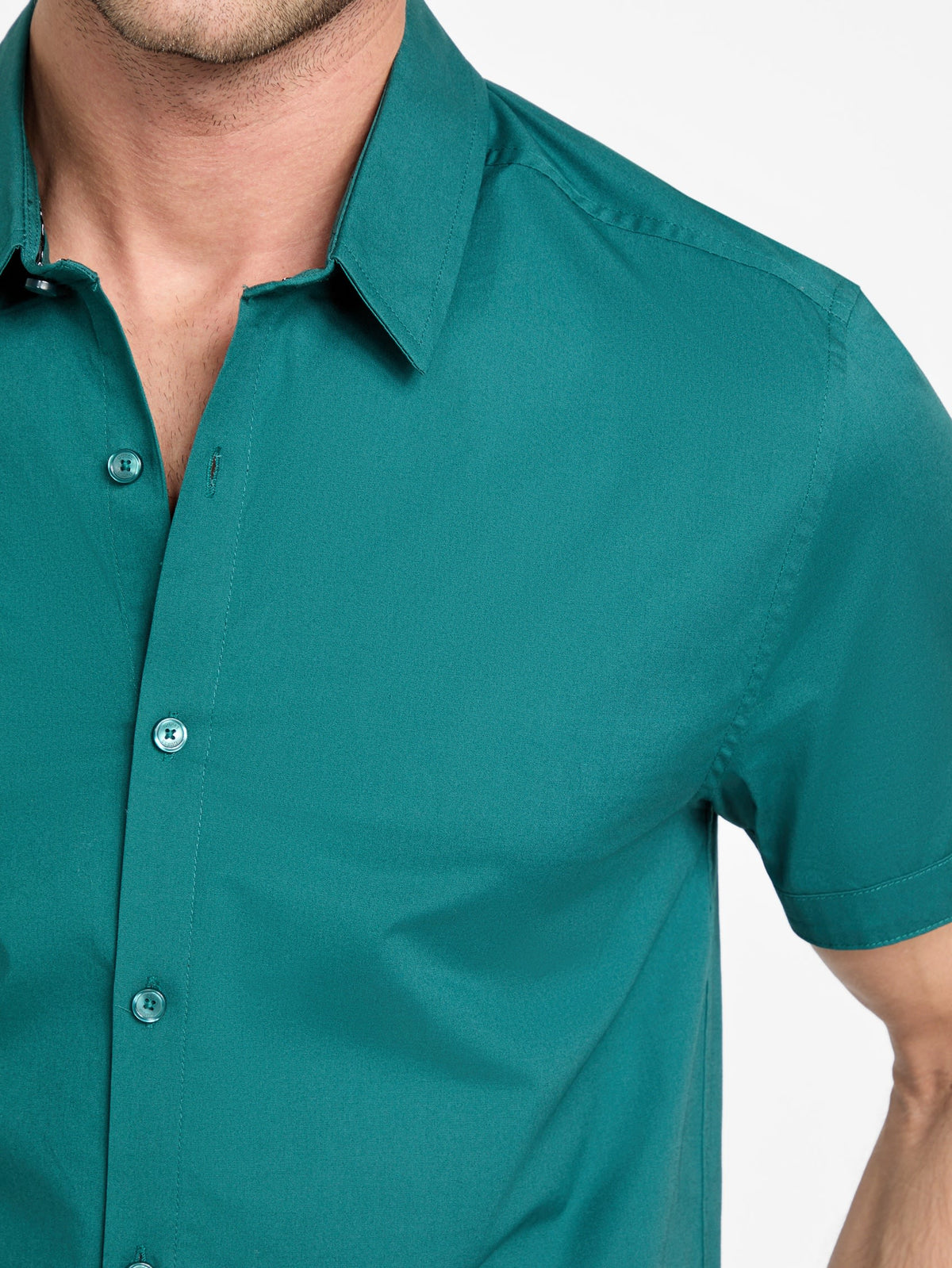 Camisa