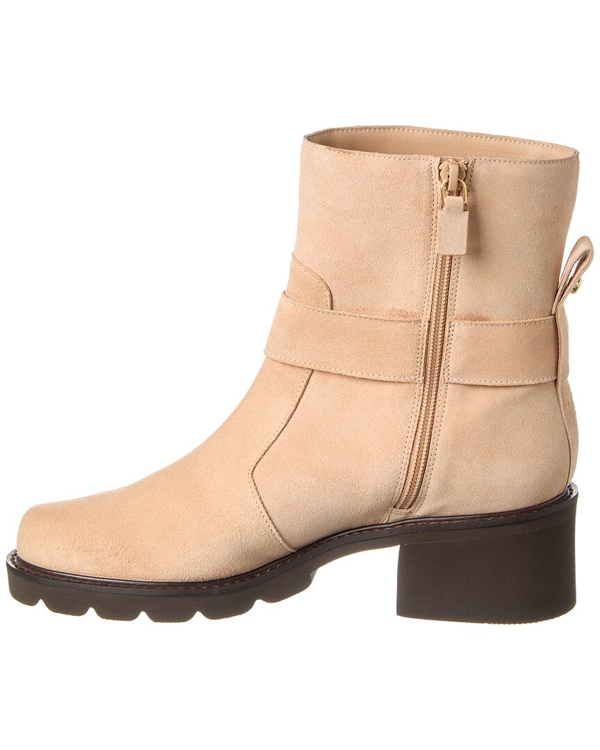 Botines de gamuza