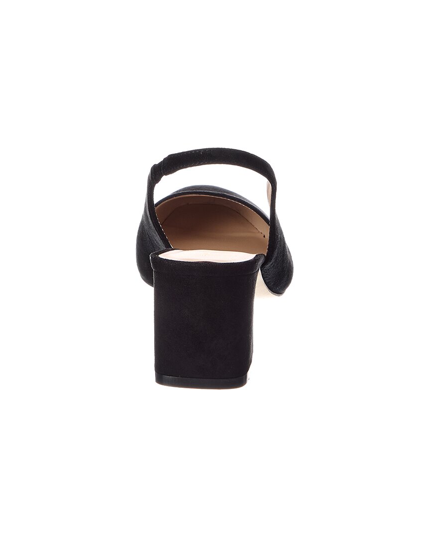 Zapatos de gamuza