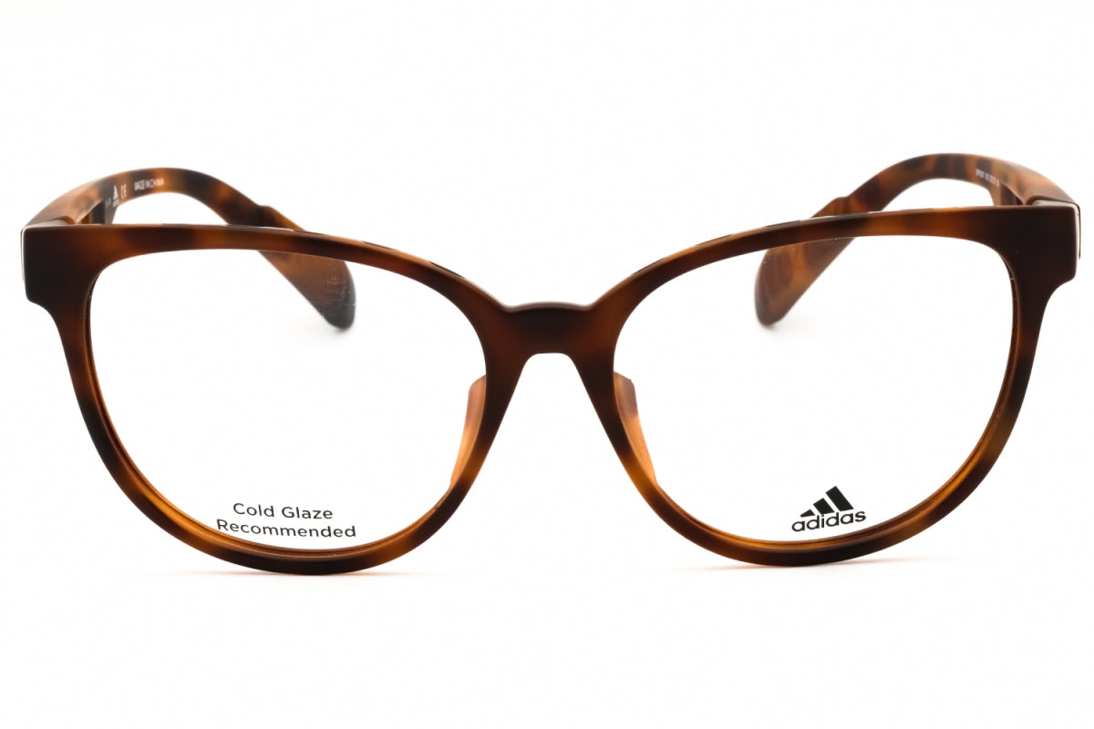 Gafas 55 mm