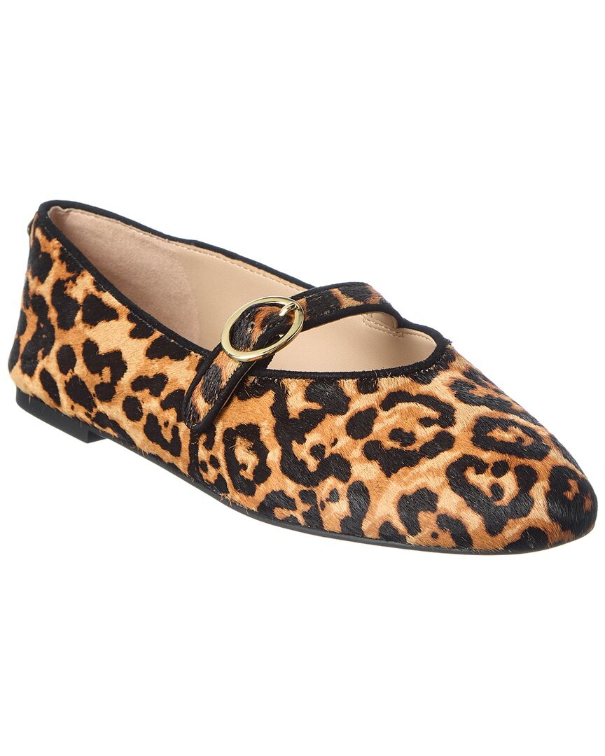 Zapatos