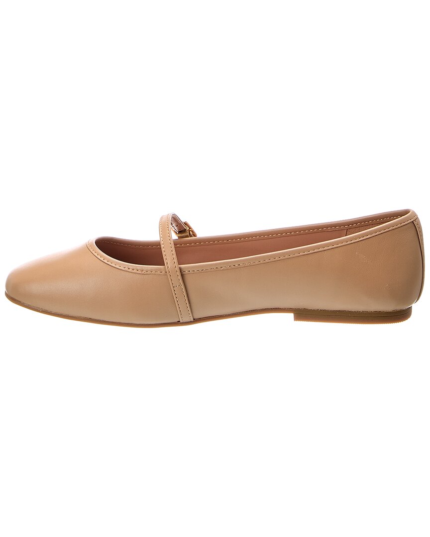 Zapatos de cuero