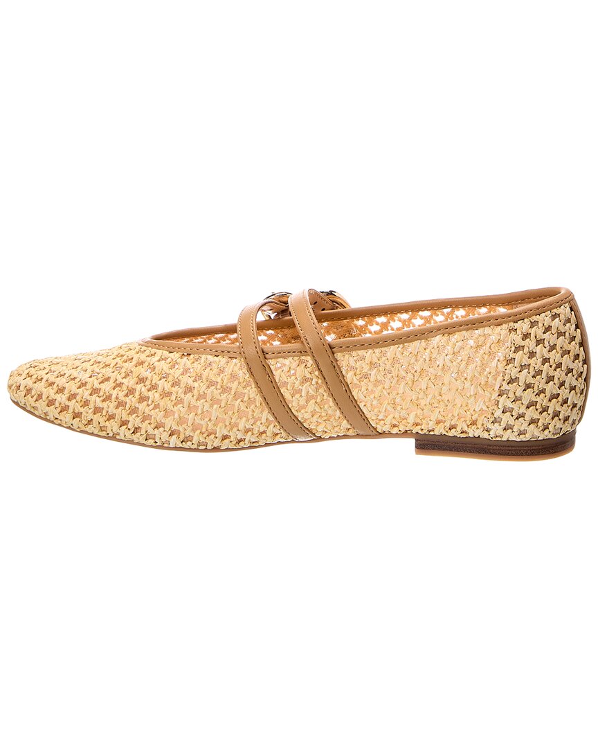 Zapatos planos