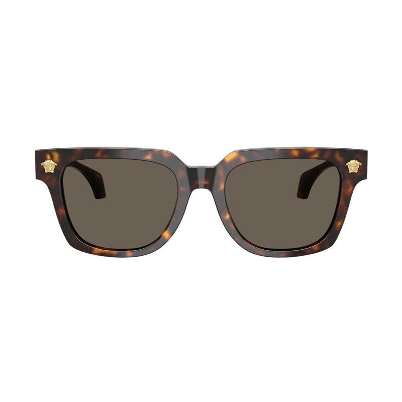 Gafas color café