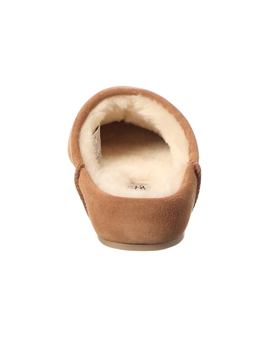 Pantuflas de gamuza