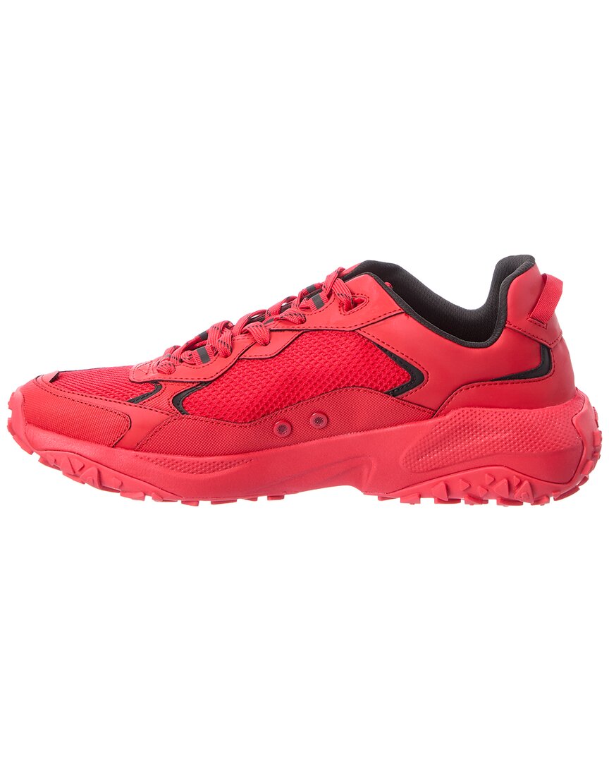 Tenis