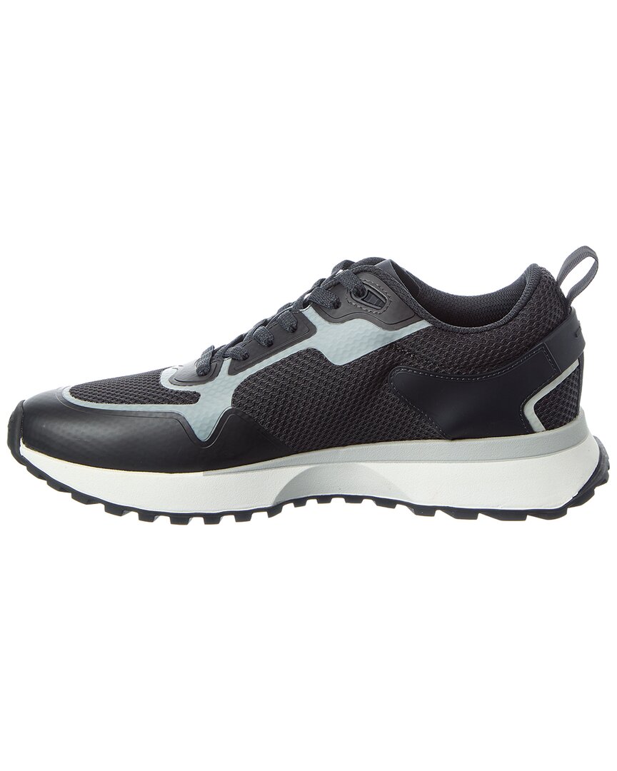 Tenis