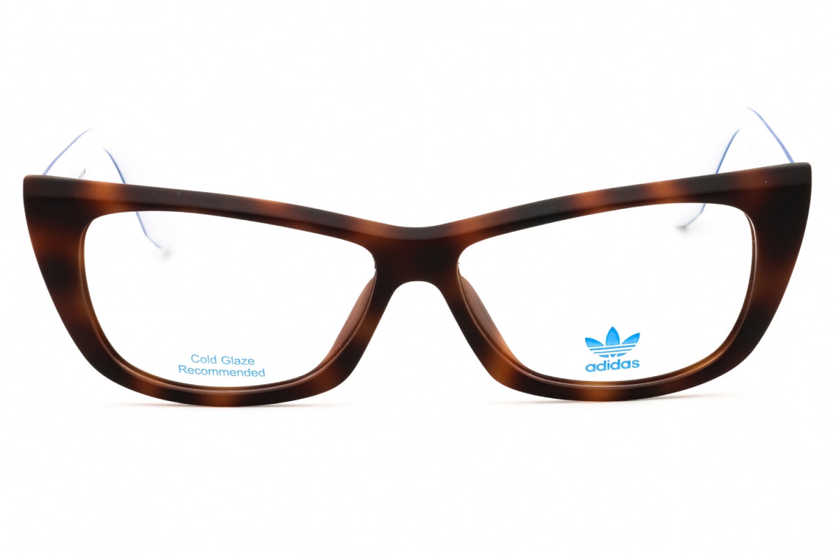 Gafas 55 mm