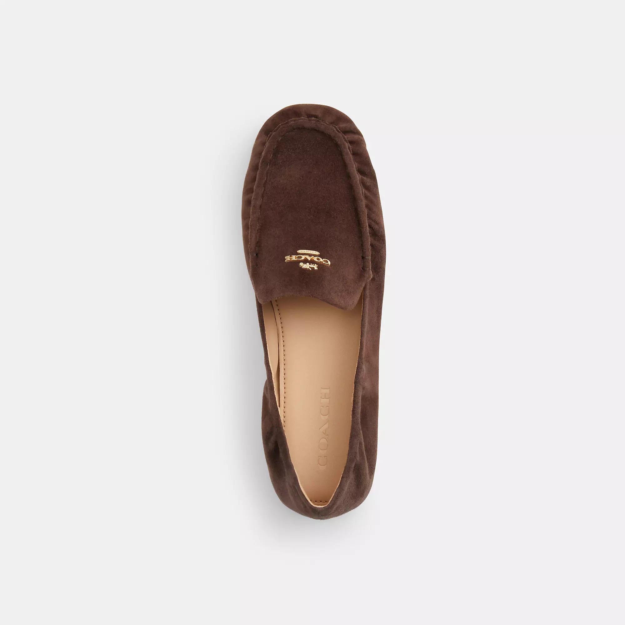 Mocasines